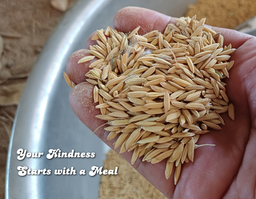 Campaign featured image